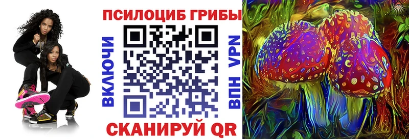 купить  сайты  ОМГ ОМГ вход  Псилоцибиновые грибы GOLDEN TEACHER  Вилюйск 